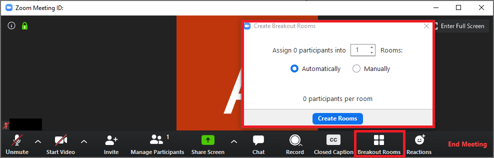 Use Zoom Breakout Rooms