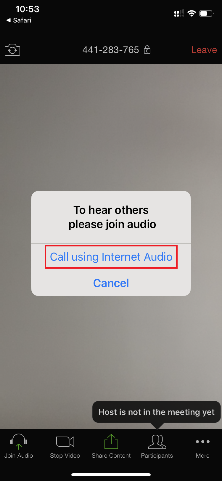 Zoom Mobile Test Call using Internet Audio