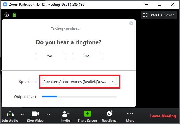 zoom test speaker and microphone